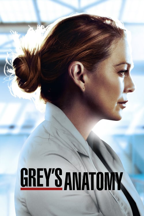 Grey's Anatomy en streaming gratuit vf vostfr